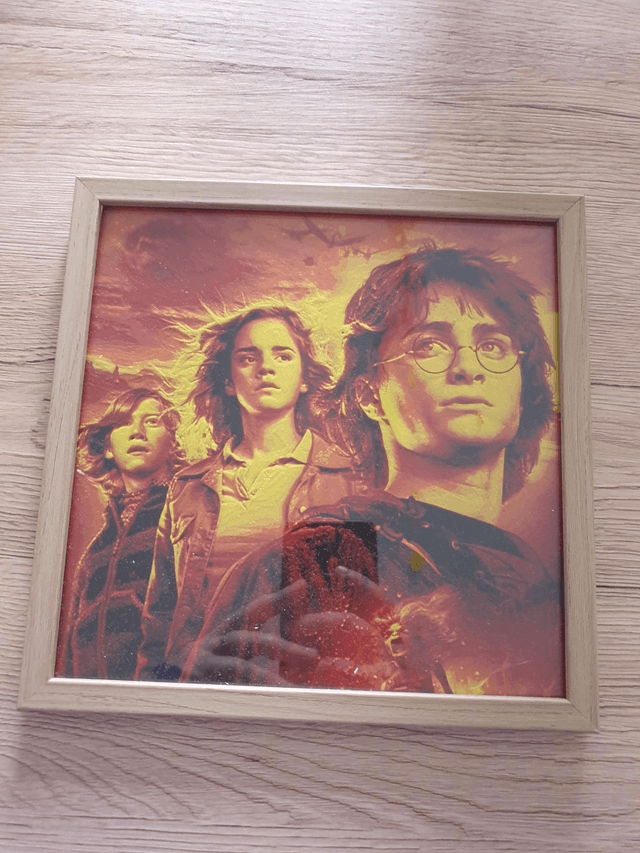 Plaque Deco Harry Potter 1
