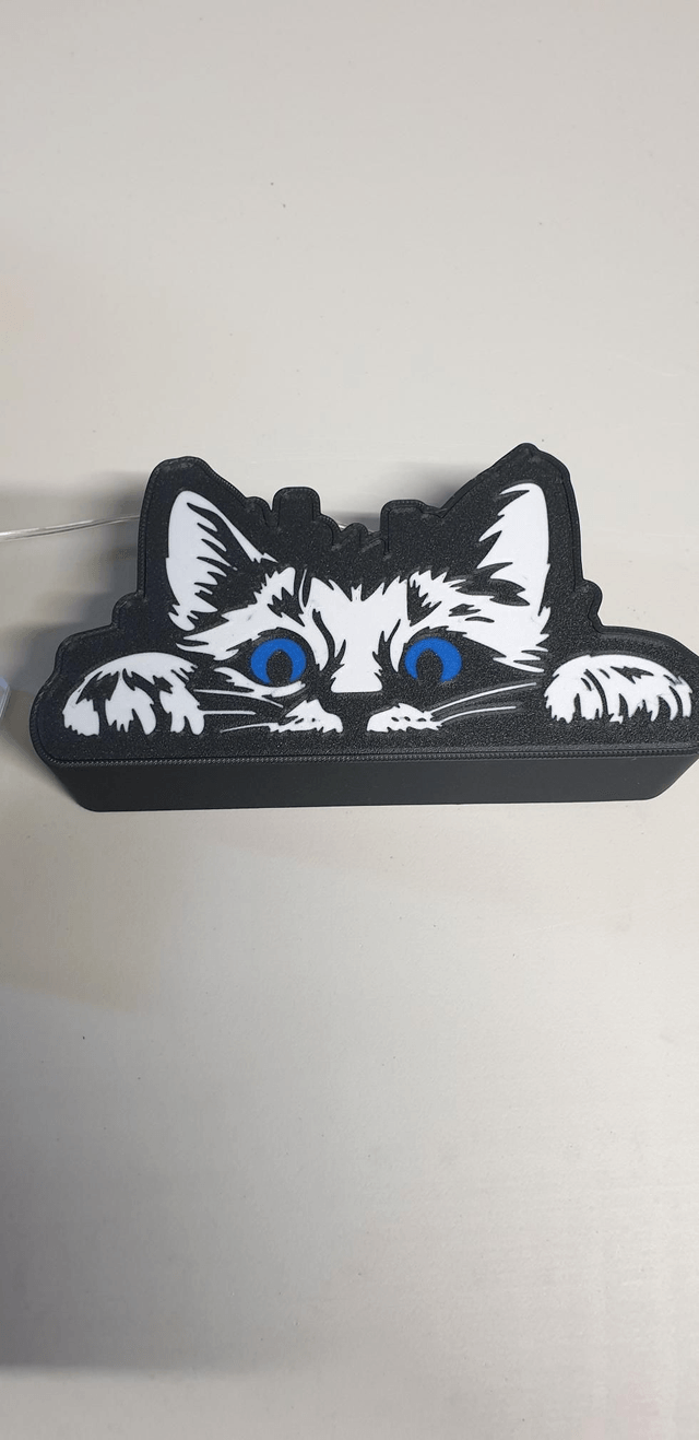 Lampe Chat à pile
