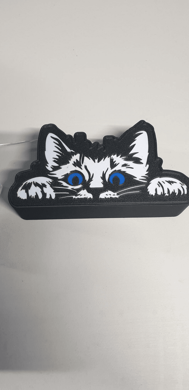 Lampe Chat à pile